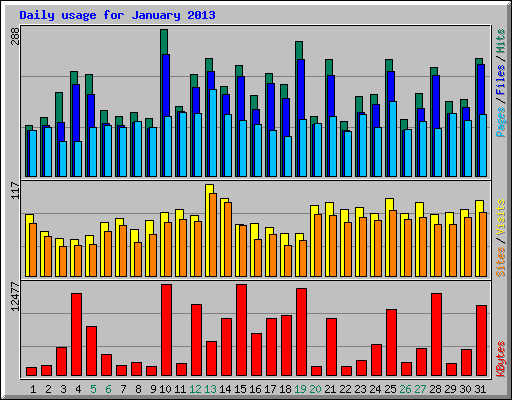 Daily usage for January 2013