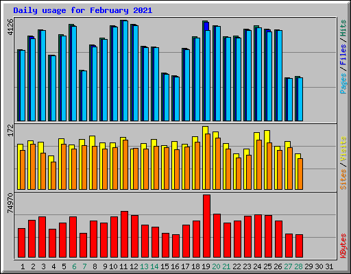 Daily usage for February 2021