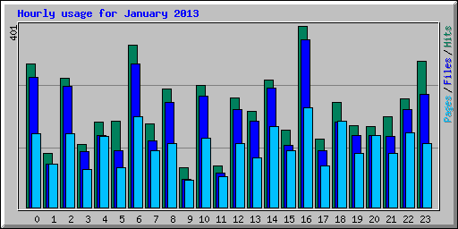 Hourly usage for January 2013