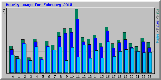Hourly usage for February 2013