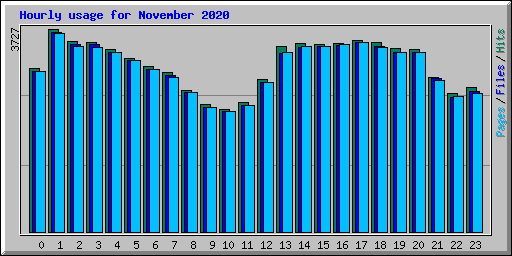 Hourly usage for November 2020