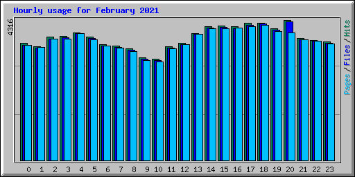 Hourly usage for February 2021