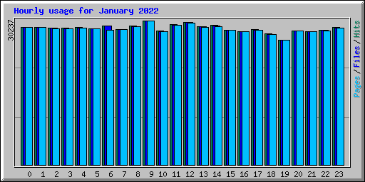 Hourly usage for January 2022