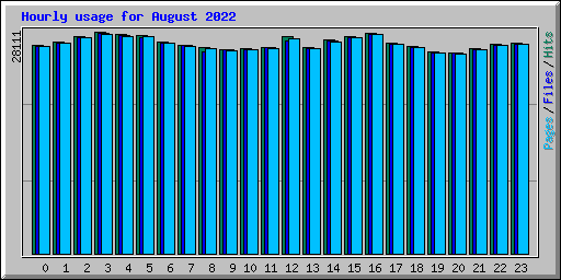 Hourly usage for August 2022