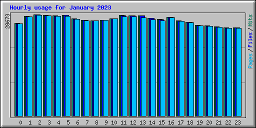 Hourly usage for January 2023