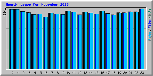 Hourly usage for November 2023